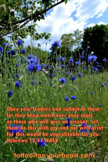 tattoo_it_on_yourheart_rachael_m_colby_hebrews_13-verse-17