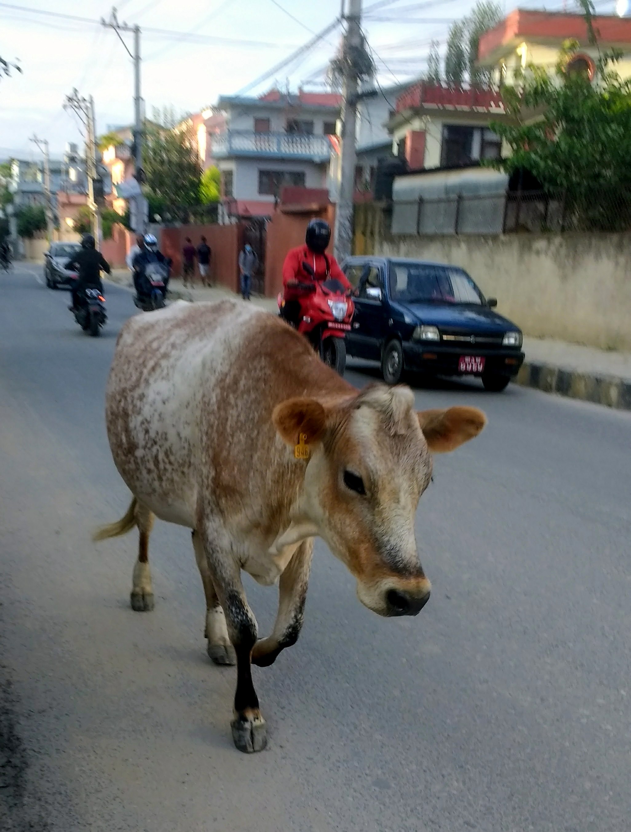 IMG_20170712_083041376