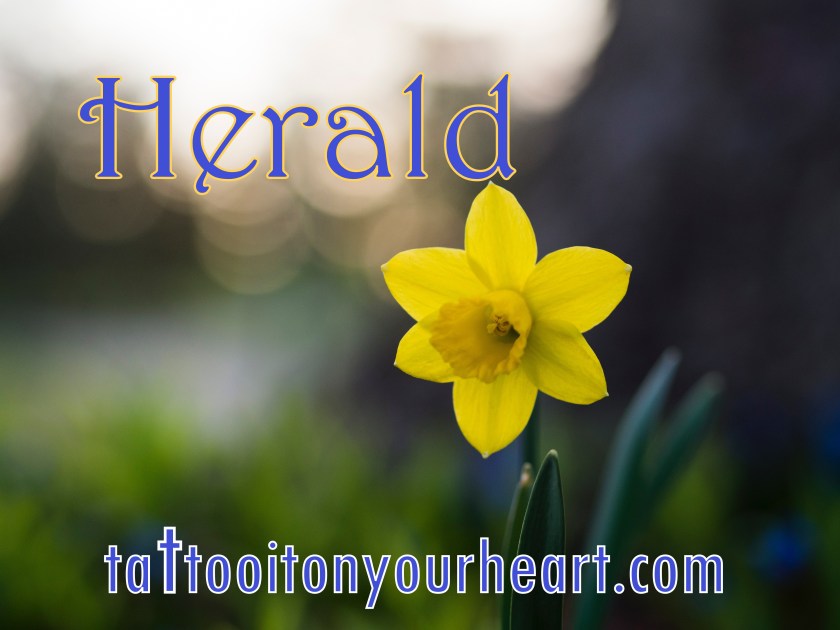 aaron-burden-235761-unsplash