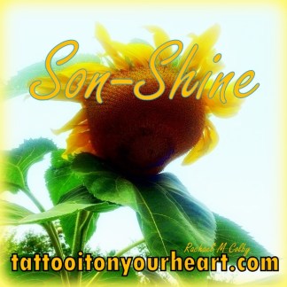 Rachael_M_Colby_Tattoo_It_On_Your_Heart_Guest Post _on_Pearl_Allard_Look_Up_Sometimes_How to_Nourish_Your_Soul_Series_Son-Shine