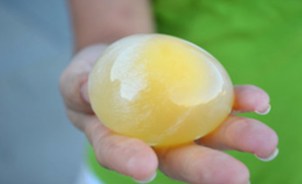 College_Prep-Science_Lab-Intensive_Greg_Landry