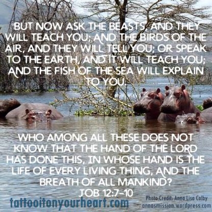 Tattoo_It_On_Your_Heart_Job 127-10_Talk_to_the_Animals