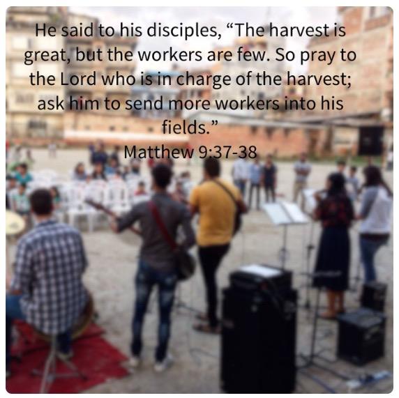 86f77b77-35d3-49e1-af0a-9cd6ba76267d