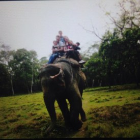 a0e6ce8f-9a94-4452-b0f8-59d47eabac01