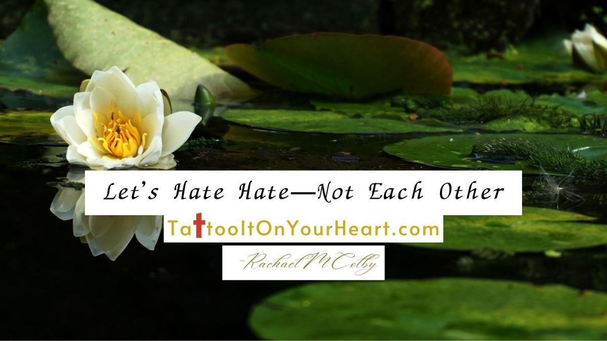 Waterlily on peaceful pond